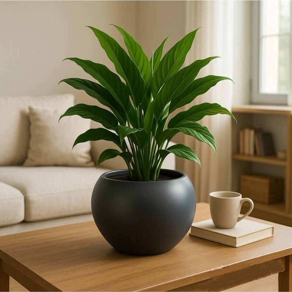 Omnipazar SO-KURS1 Dekoratif Modern Yuvarlak Küre Saksı 7.5 litre No 1 Antrasit (116)