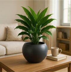 Omnipazar SO-KURS1 Dekoratif Modern Yuvarlak Küre Saksı 7.5 litre No 1 Antrasit (116)