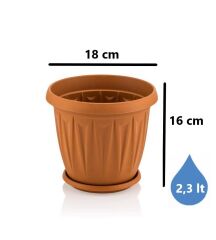 Omnipazar SY-5702 Plastik Ürgüp Tabaklı Saksı Takımı 2,3 litre Kahverengi 6 Adet