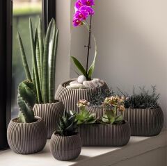 Omnipazar KRS Mercan Dekoratif Sukulent Kaktüs Plastik Saksı Takımı 6'lı Set Kahverengi