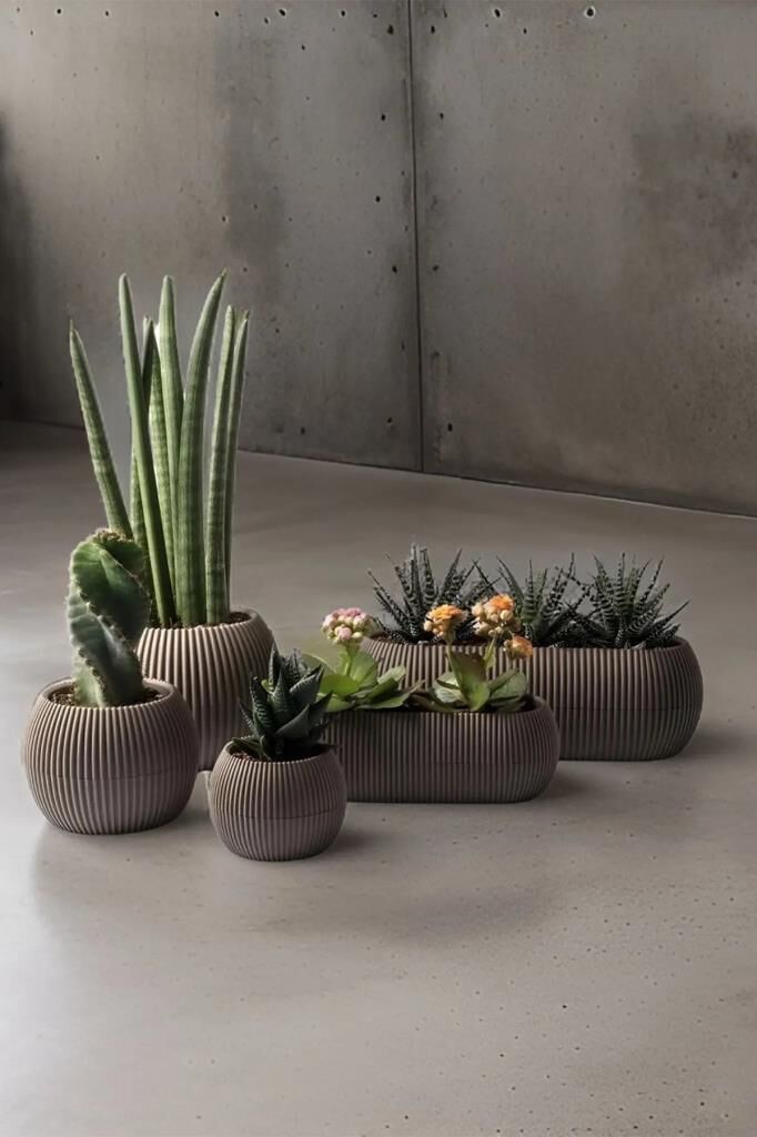 Omnipazar KRS Mercan Dekoratif Sukulent Kaktüs Plastik Saksı Takımı 5'li Set Kahverengi