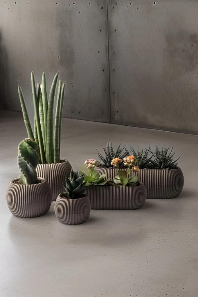 Omnipazar KRS Mercan Dekoratif Sukulent Kaktüs Plastik Saksı Takımı 5'li Set Kahverengi