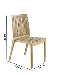 Omnipazar SY-2523 Rattan Bahçe Sandalye 4'lü Set Bej
