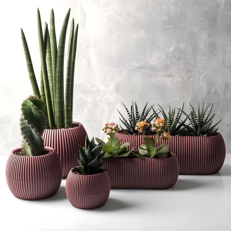 Omnipazar KRS Mercan Dekoratif Sukulent Kaktüs Plastik Saksı Takımı 5'li Set Soft Pembe