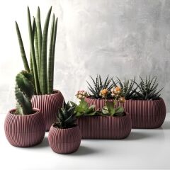 Omnipazar KRS Mercan Dekoratif Sukulent Kaktüs Plastik Saksı Takımı 5'li Set Soft Pembe