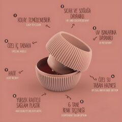 Omnipazar KRS Mercan Dekoratif Sukulent Kaktüs Plastik Saksı Takımı 5'li Set Soft Pembe