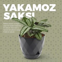 Omnipazar KRS-452 Yakamoz Tabaklı Plastik Saksı Takımı 1.3 Litre No 2 Beyaz