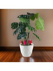 Omnipazar KRS-455 Yakamoz Tabaklı Plastik Saksı Takımı 9.2 Litre No 5 Beyaz