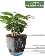 Omnipazar KRS-455 Yakamoz Tabaklı Plastik Saksı Takımı 9.2 Litre No 5 Beyaz