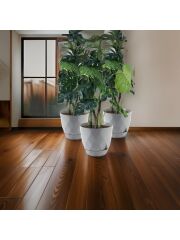 Omnipazar KRS-457 Yakamoz Tabaklı Plastik Saksı Takımı 26 Litre No 7 Gri