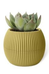 Omnipazar KRS-364 Dekoratif Plastik Mercan Saksı 1.2 Litre No 4