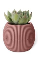 Omnipazar KRS-364 Dekoratif Plastik Mercan Saksı 1.2 Litre No 4