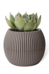 Omnipazar KRS-364 Dekoratif Plastik Mercan Saksı 1.2 Litre No 4 Kahverengi