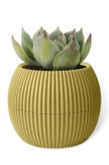 Omnipazar KRS-364 Dekoratif Plastik Mercan Saksı 1.2 Litre No 4 Soft Sarı