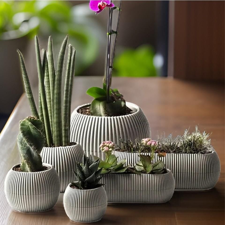 Omnipazar KRS Mercan Dekoratif Sukulent Kaktüs Plastik Saksı Takımı 6'lı Set Bej