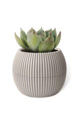 Omnipazar KRS Mercan Dekoratif Sukulent Kaktüs Plastik Saksı Takımı 6'lı Set Bej