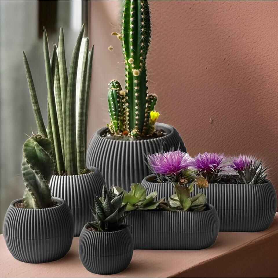 Omnipazar Mercan Dekoratif Sukulent Kaktüs Plastik Saksı Takımı 6'lı Set Antrasit