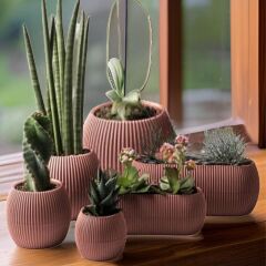 Omnipazar KRS Mercan Dekoratif Sukulent Kaktüs Plastik Saksı Takımı 6'lı Set Pembe