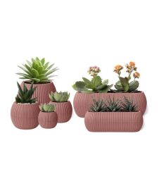 Omnipazar KRS Mercan Dekoratif Sukulent Kaktüs Plastik Saksı Takımı 6'lı Set Pembe