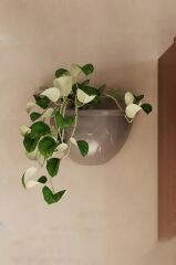 Omnipazar SO-DD01 Dekoratif Damla Duvar Saksı 1.4 Litre No 1 Antrasit (116)