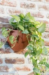 Omnipazar SO-DD01 Dekoratif Damla Duvar Saksı 1.4 Litre No 1 Kiremit (108)