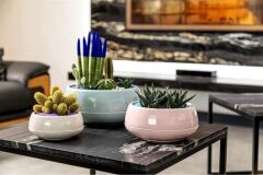 Omnipazar SO-EAS2 Dekoratif Elvan Arajman Sukulent Kaktüs Saksı 2 Litre No 2