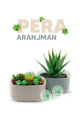 Omnipazar KRS-247 Pera Dekoratif Aranjman Kaktus Sukulent Saksı 1 Litre No 1 Gri