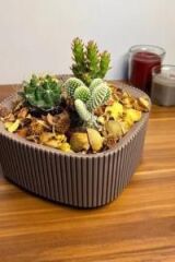 Omnipazar KRS-247 Pera Dekoratif Aranjman Kaktus Sukulent Saksı 1 Litre No 1 Kahverengi