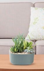 Omnipazar KRS-247 Pera Dekoratif Aranjman Kaktus Sukulent Saksı 1 Litre No 1 YEŞİL