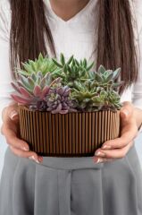 Omnipazar KRS-248 Pera Dekoratif Aranjman Kaktus Sukulent Saksı 1.8 Litre No 2 Kahverengi