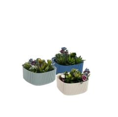 Omnipazar KRS-247 Pera Aranjman Kaktus Sukulent Saksı 1 Litre 3'lü Set
