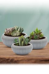 Omnipazar KRS-610 Dekoratif Küçük Aranjman Kaktus Sukulent Saksı 0.7 Litre Gri