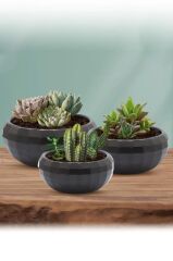 Omnipazar KRS-611 Dekoratif Orta Aranjman Kaktus Sukulent Saksı 2 Litre