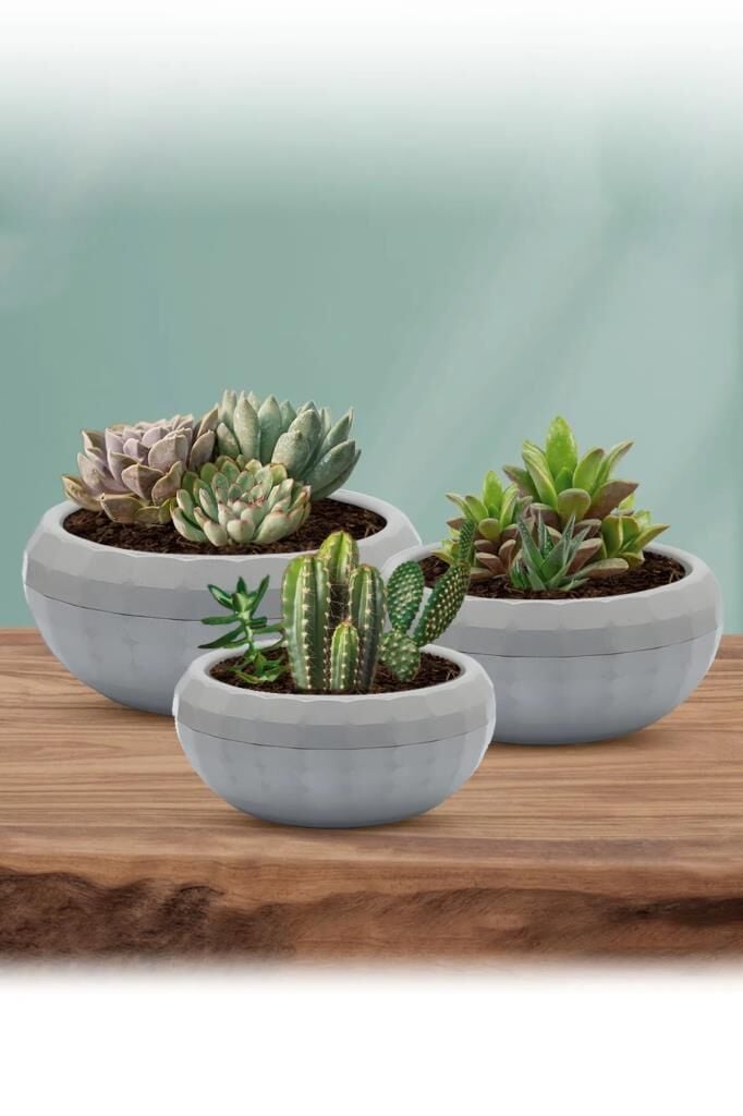 Omnipazar KRS Dekoratif Aranjman Kaktus Sukulent Saksı 3'lü Set Gri