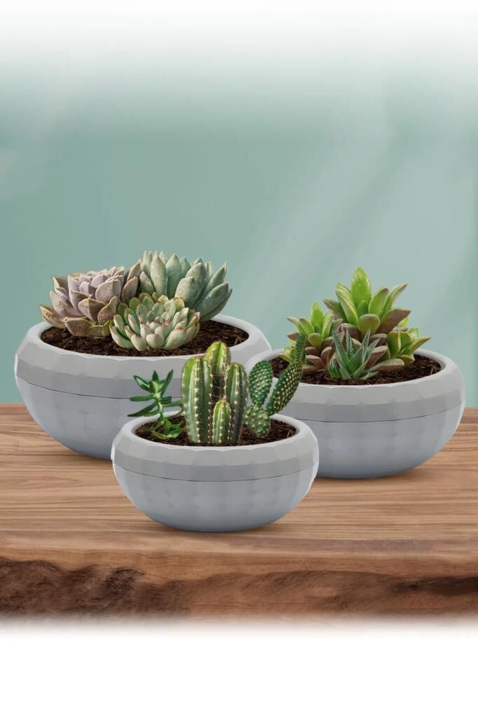 Omnipazar KRS Dekoratif Aranjman Kaktus Sukulent Saksı 3'lü Set Gri