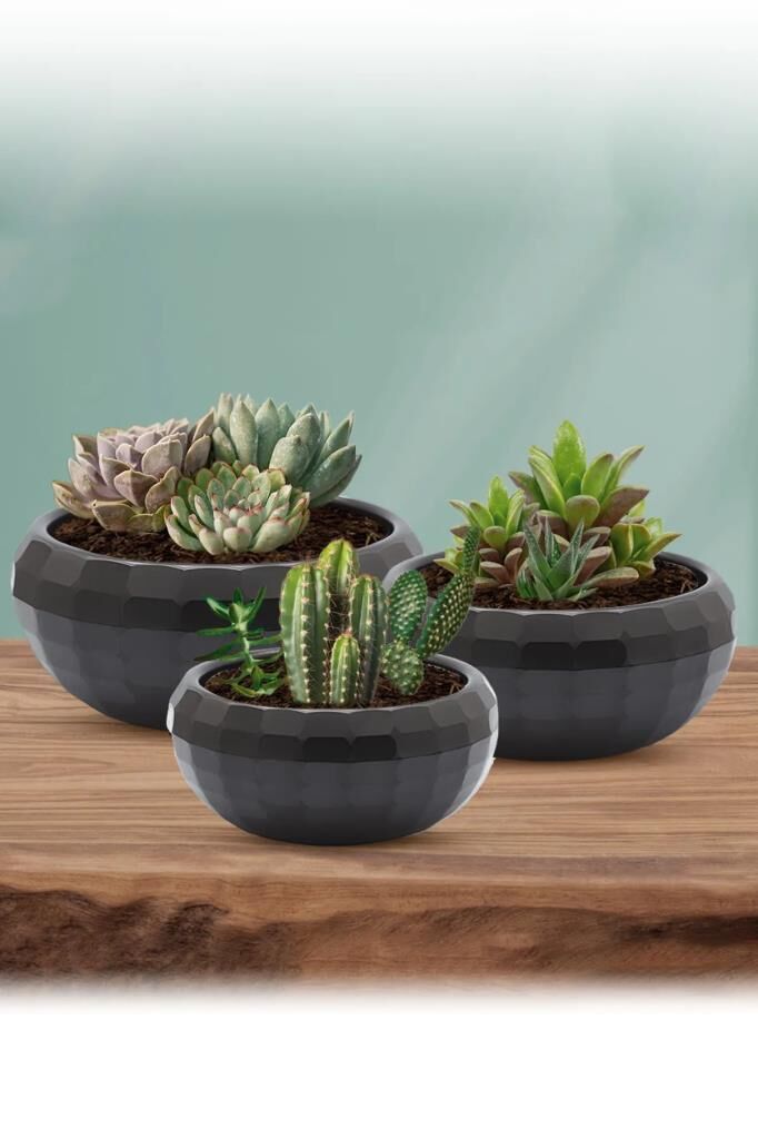 Omnipazar Dekoratif Aranjman Kaktus Sukulent Saksı 3'lü Set Antrasit