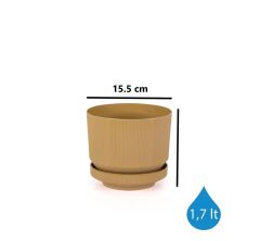 Omnipazar SO-S281 Dekoratif Tabaklı Lüks Çizgi Desenli Saksı 1.7 Litre Gold