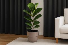 Omnipazar SO-KUP5 Kuple Plastik İç Kovalı Saksı Takımı 26 Litre No 5 Mocha