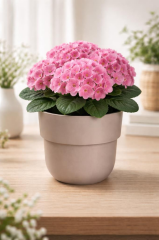 Omnipazar SO-KUP4 Kuple Plastik Saksı Takımı İç Kovalı 11 Litre No 4