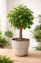 SO-KUP5 Kuple No:5 Plastik İç Kovalı Saksı Takımı 26 Lt Kirli Beyaz 3 Adet