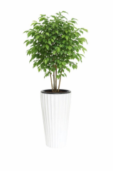 Omnipazar SO-LVT1 Lilyum Vazo Saksı Takımı İç Kovalı 54 Litre No:1 Beyaz