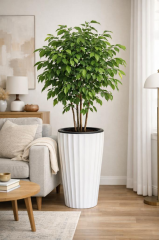 Omnipazar SO-LVT1 Lilyum Vazo Saksı Takımı İç Kovalı 54 Litre No:1 Beyaz