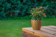 Omnipazar SO-KAP2 Kapadokya Dekoratif Plastik Saksı 1.4 Litre No 2