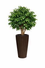 SO-LVT2 3 Adet Lilyum Vazo Saksı Takımı İç Kovalı 90 Litre No:2 Kahverengi