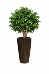 SO-LVT2 3 Adet Lilyum Vazo Saksı Takımı İç Kovalı 90 Litre No:2 Kahverengi