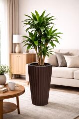 SO-LVT2 3 Adet Lilyum Vazo Saksı Takımı İç Kovalı 90 Litre No:2 Kahverengi